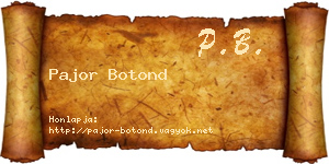 Pajor Botond névjegykártya